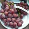 Виноград Подарок Радионову 1722