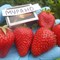 Клубника Мурано 1728 - фото 4766 Клубника Мурано 1728 - фото 4766